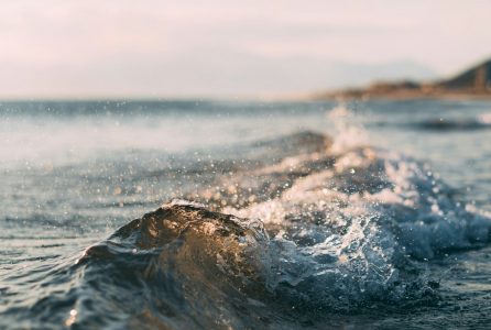 mourad-saadi-GyDktTa0Nmw-unsplash